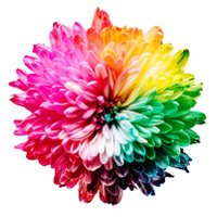 வண்ணத்தமிழ் வகுப்பறை