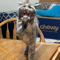 honor2021B@yahoo.com