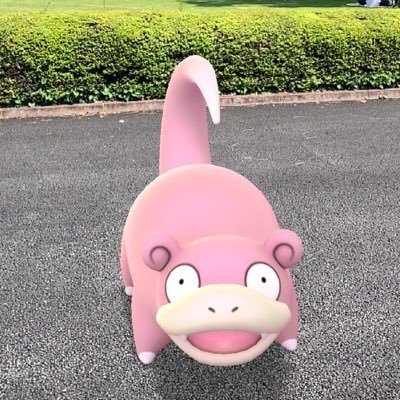 けんも@ぶみっ！