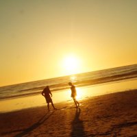 Tonny | 個人開発