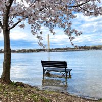 DocBokki | The Origin: Apink in Manila 05.10