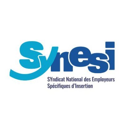 SyNESI