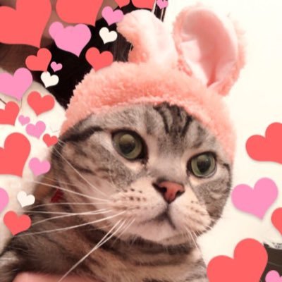豪ちゃん〜🐈〜♪♪☪