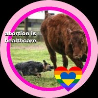 Devin Nunes' Cattle Dog 🇺🇦 🇪🇺🇺🇸🇨🇦