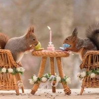 RadhaKrishna Investment