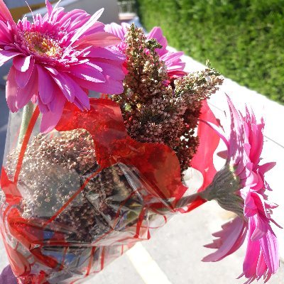 Duygu Özsöyler Vural