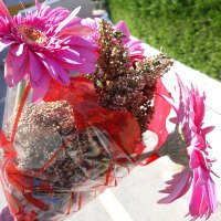 Duygu Özsöyler Vural