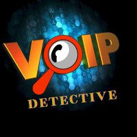 VoIP Detective
