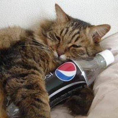 魔王にゃー大佐.Mk3