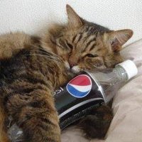 魔王にゃー大佐.Mk3