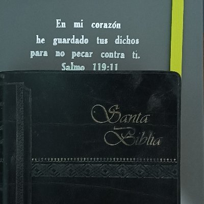 Textos Bíblicos
