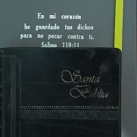 Textos Bíblicos