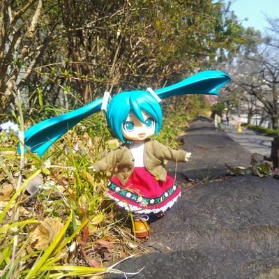 Nobu N @がんサバイバー