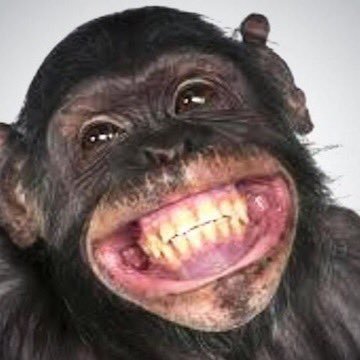 Fritz 🇳🇱 🇮🇹