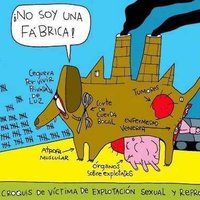 PROTECCION ANIMAL - ARGENTINA