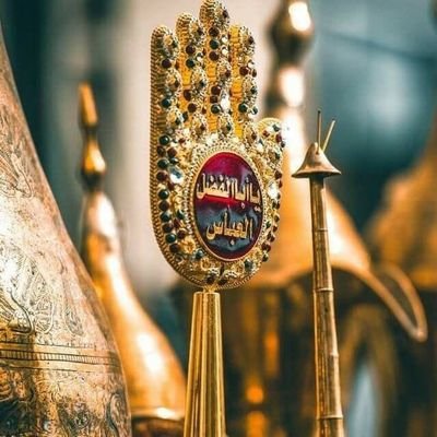 S.M Jarry Abbas Zaidi