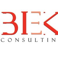 BIEK Consulting