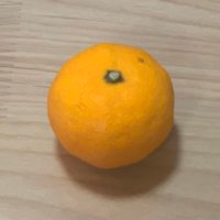 みかん✩.*˚小みかん12y