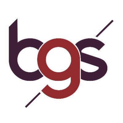 BGS - Business Growth Solutions