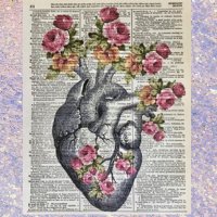 ♡ 𝓜𝓸𝓶𝓣𝓸2 ♡