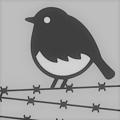 Jan Christian Guldemond — 0,2%