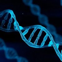 Know Your CYP450 Genes