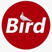The Bird Media