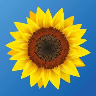 Association_Sunflower