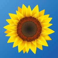 Association_Sunflower