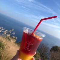 Bell Wings⚽✈️〜世界に羽撃く湘南の翼〜