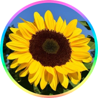 🐯🍚🍓🌱KAYO💎💚🗼🐰