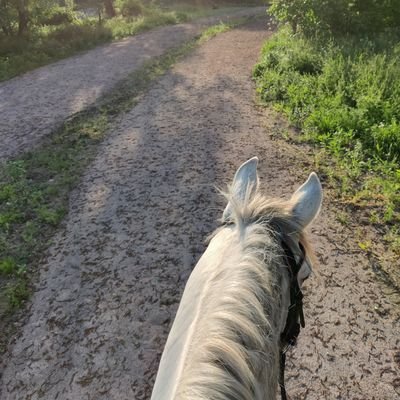 🔴🔴🔴Mütendes Pferdemädchen