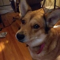 Non-Theatrical Singularity