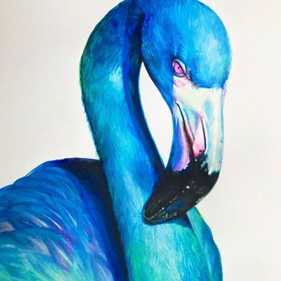 Blue Flamingo