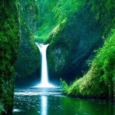 Юлия Flow3 Network 🌐 🪞 🫎