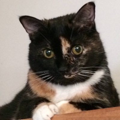 Karen - “BTG-Nicole’s Ride or Die”