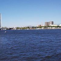 いそのたつお(素人)