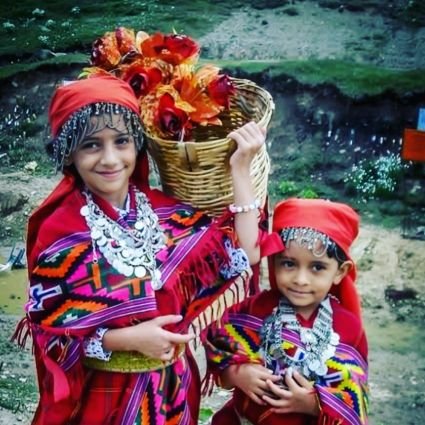 Kashmir Beauty🏔️