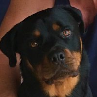 Bill and Marcus ✝️