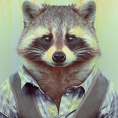 👀 Mr. Pitaco 🗣️