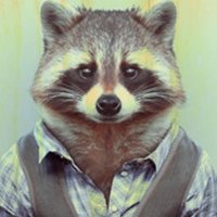 👀 Mr. Pitaco 🗣️