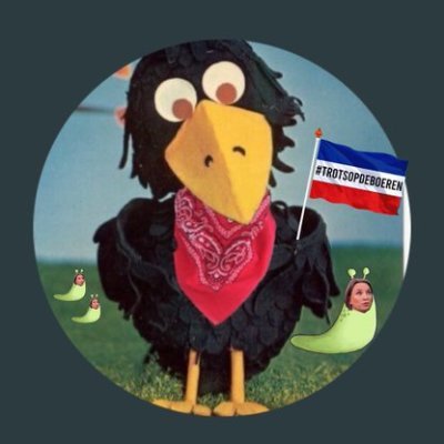 Meneer De Raaf, Msc. Gaslight Destruction