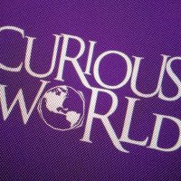 Curious World