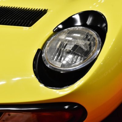 KenN🥟 : i 🌳🐣