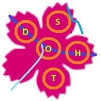 Reest-Vechtdal Party