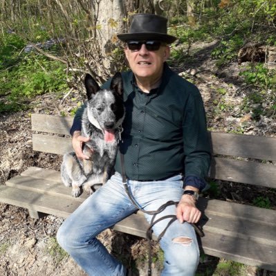 Yvo stormvogel Livingstone Seagull