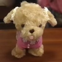 lumiunion超組合員