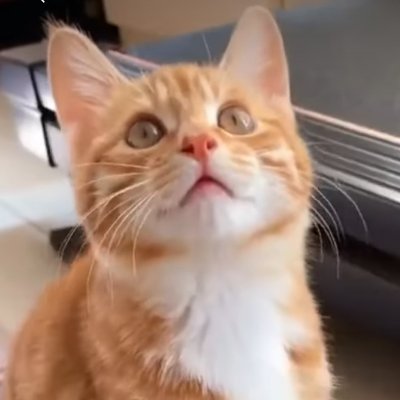 SY@2017年自己破産経験者