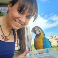 ❄🌲🍁Karelis Vegas🍁🌲❄