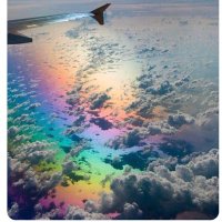 David Farrar 🐱🧡🧡🧡🇨🇵🇨🇭😺